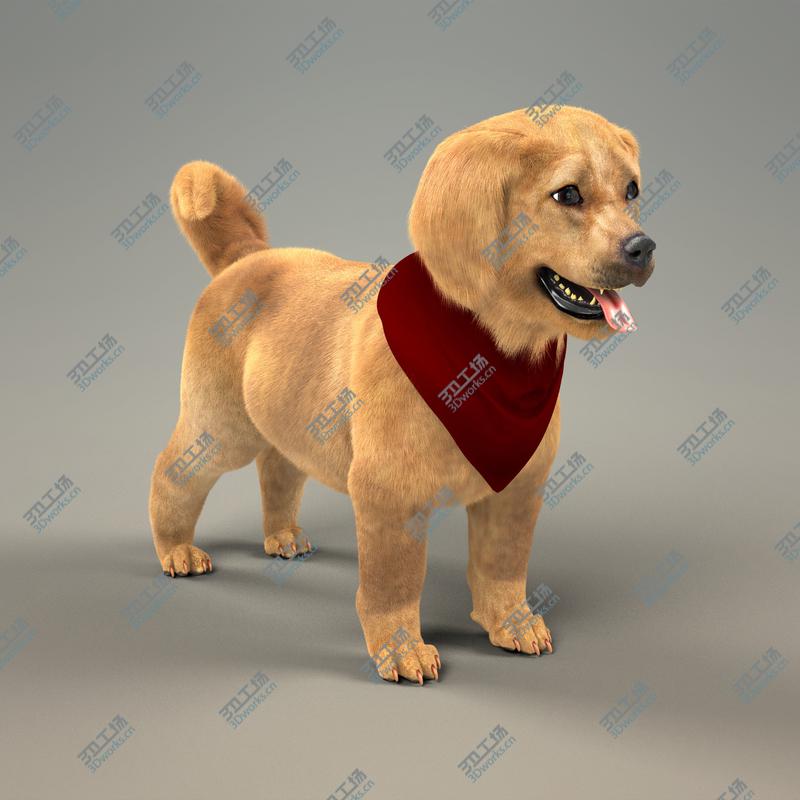 images/goods_img/2021040232/Retriever Puppy with Fur/2.jpg